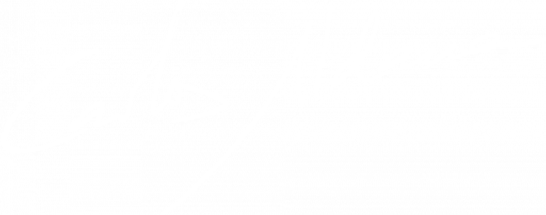 firma Carlos Aldana